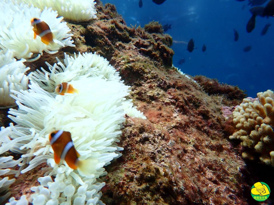 澎湖旅遊-七美一日遊(含機車)